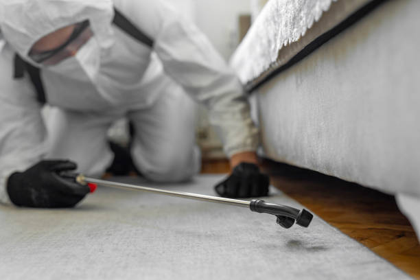Professional Bed Bug Control technician working in St. John, IN